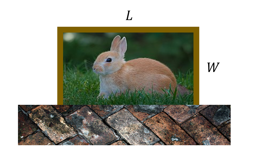 Rabbit enclosure with the length parallel to the wall labelled 'L' and the length perpendicular to the wall labelled 'W'.